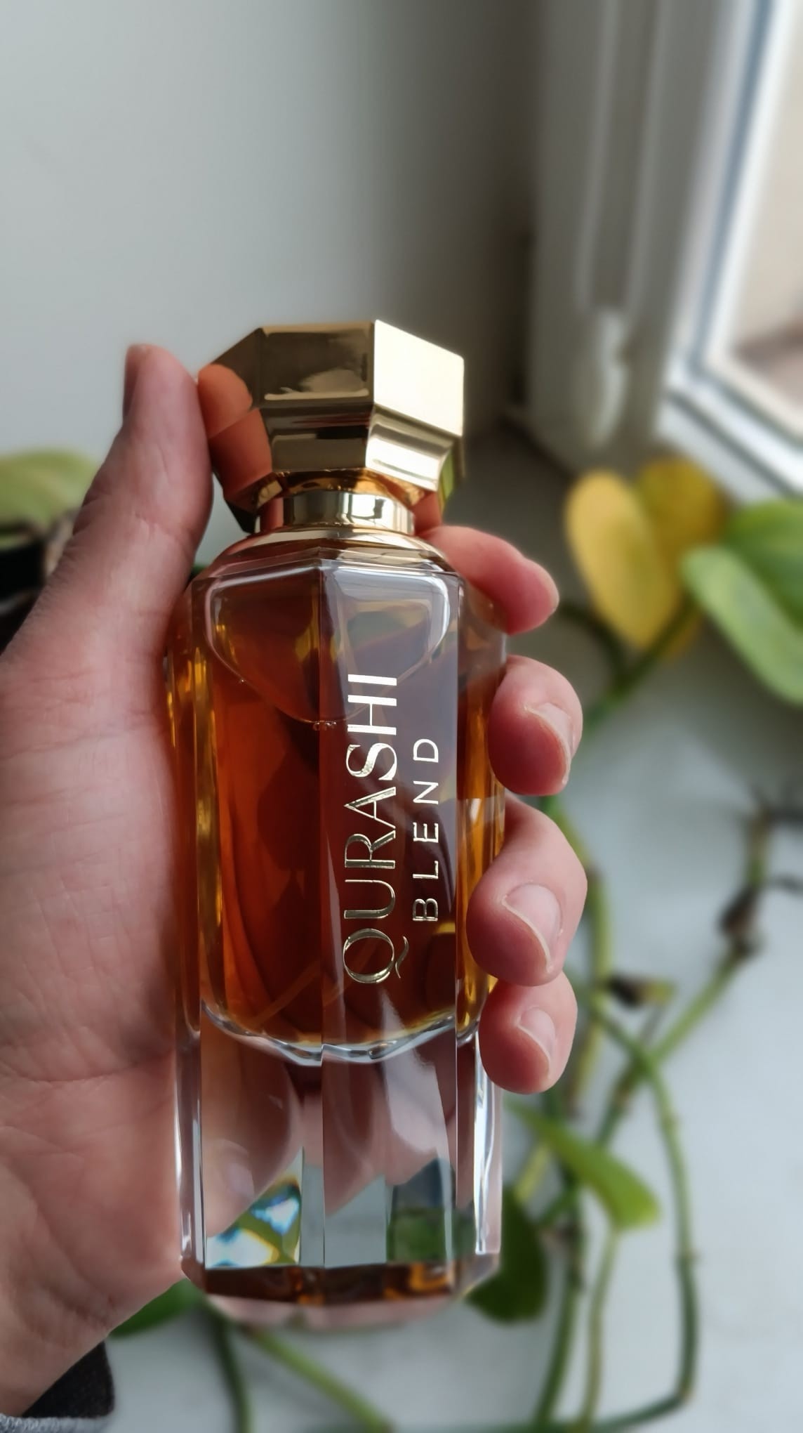 fa813b94-bfa8-4f2e-9665-faa7224ff611