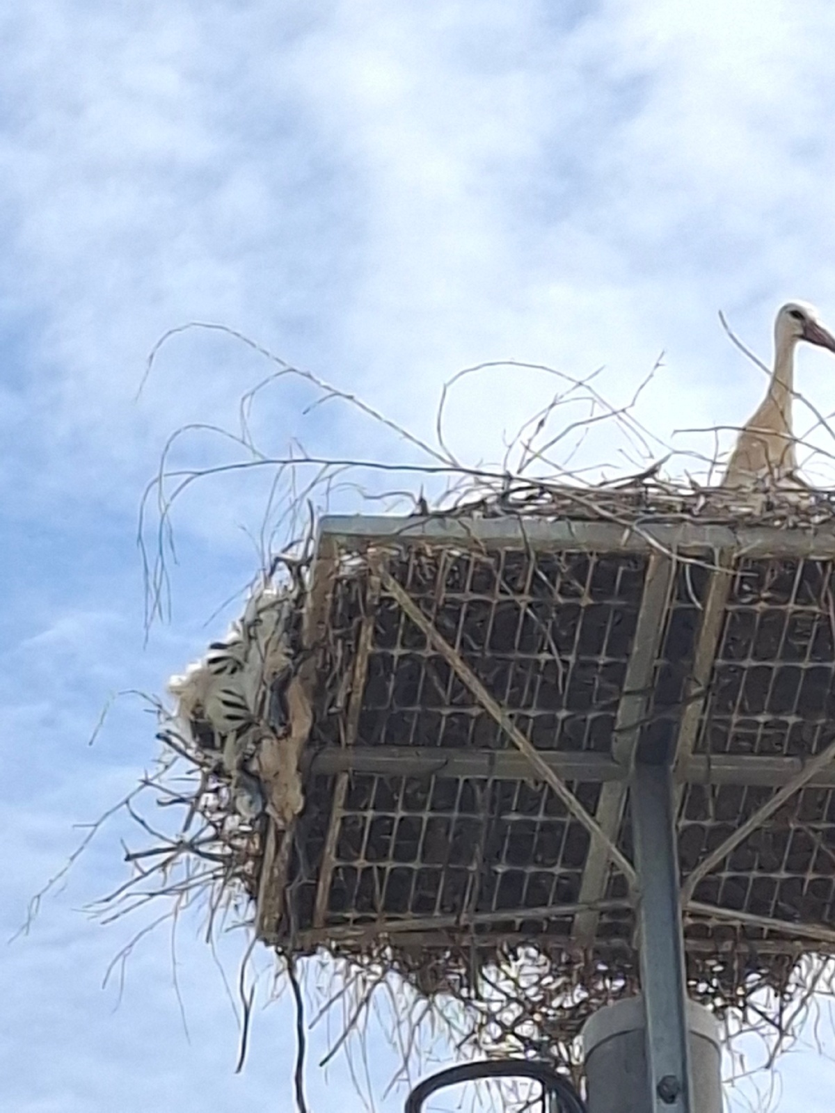 9d44c421-b404-4871-a4f0-605a93d87e01