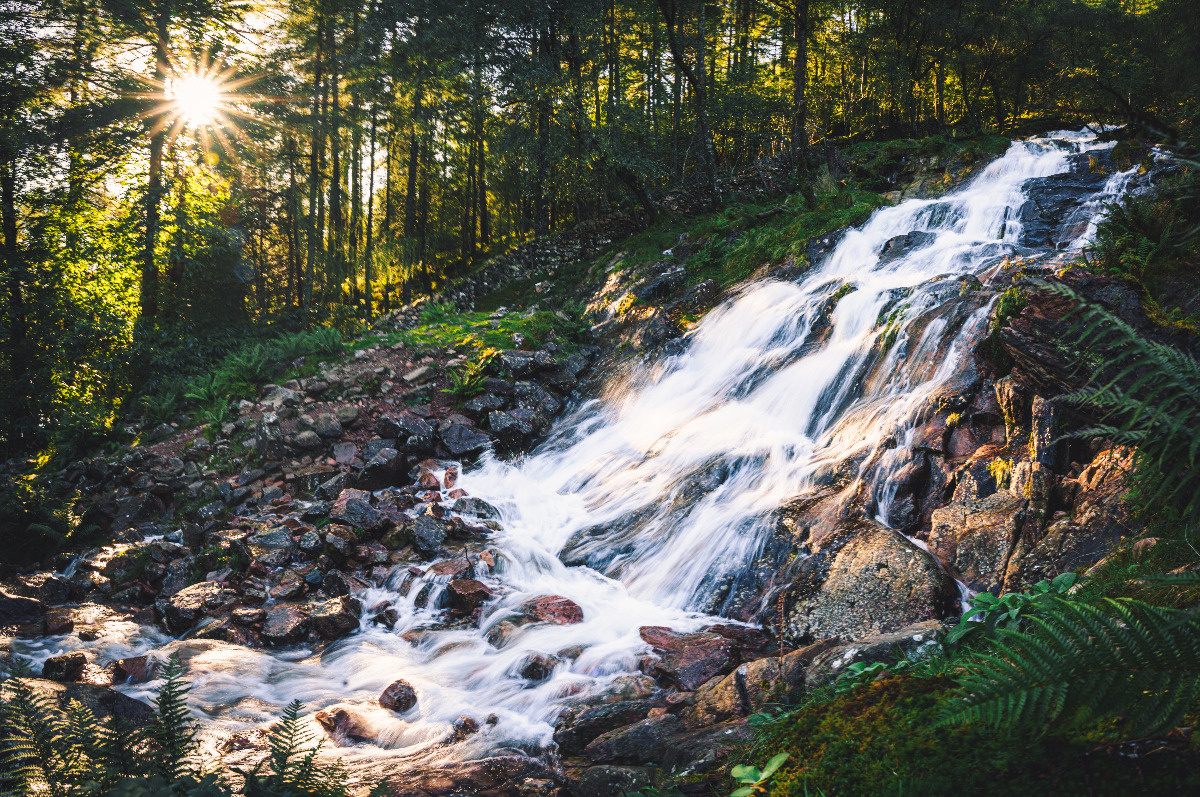 8bfcd732-b57e-4d86-a3d9-496129c8c6f8