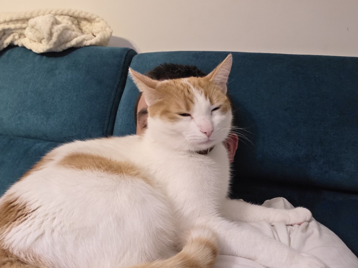 9cc37571-c0b3-41bc-919e-07765c63f710