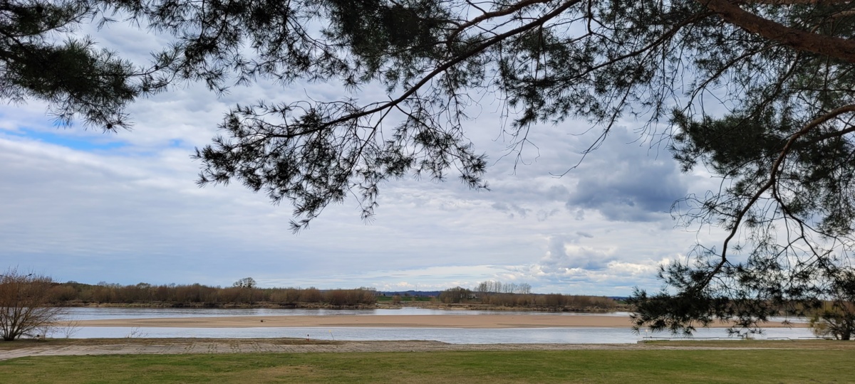 1eada468-6e62-4fb4-85d8-2156fc4243f6