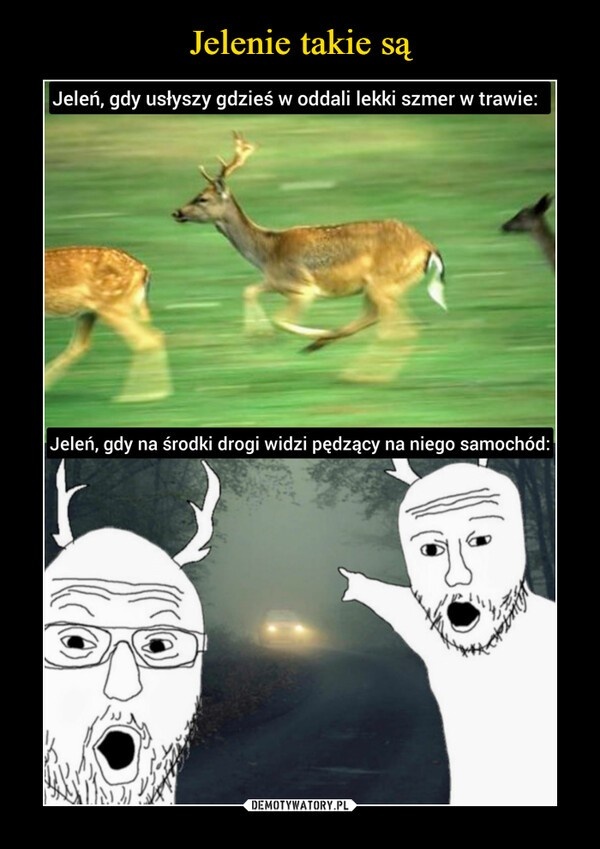 b4539344-645c-4c94-a193-f7aa488e247d