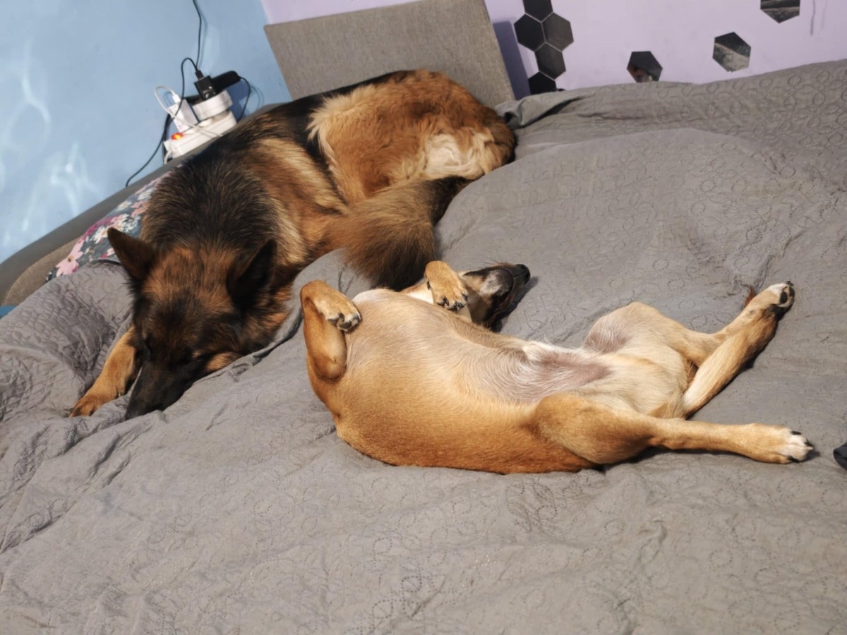 e039c947-d8f9-4bbb-a42f-42865eb88d68