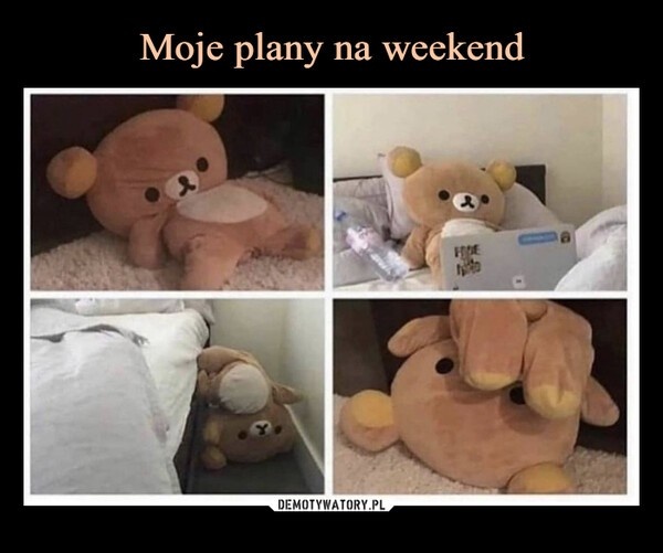 1e55e547-0c77-4ab4-a9cd-363adbeab61e