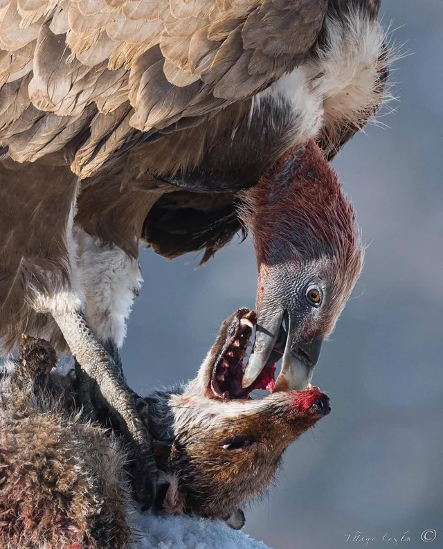 4ce3e514-2581-44a1-9e77-95403790ec98