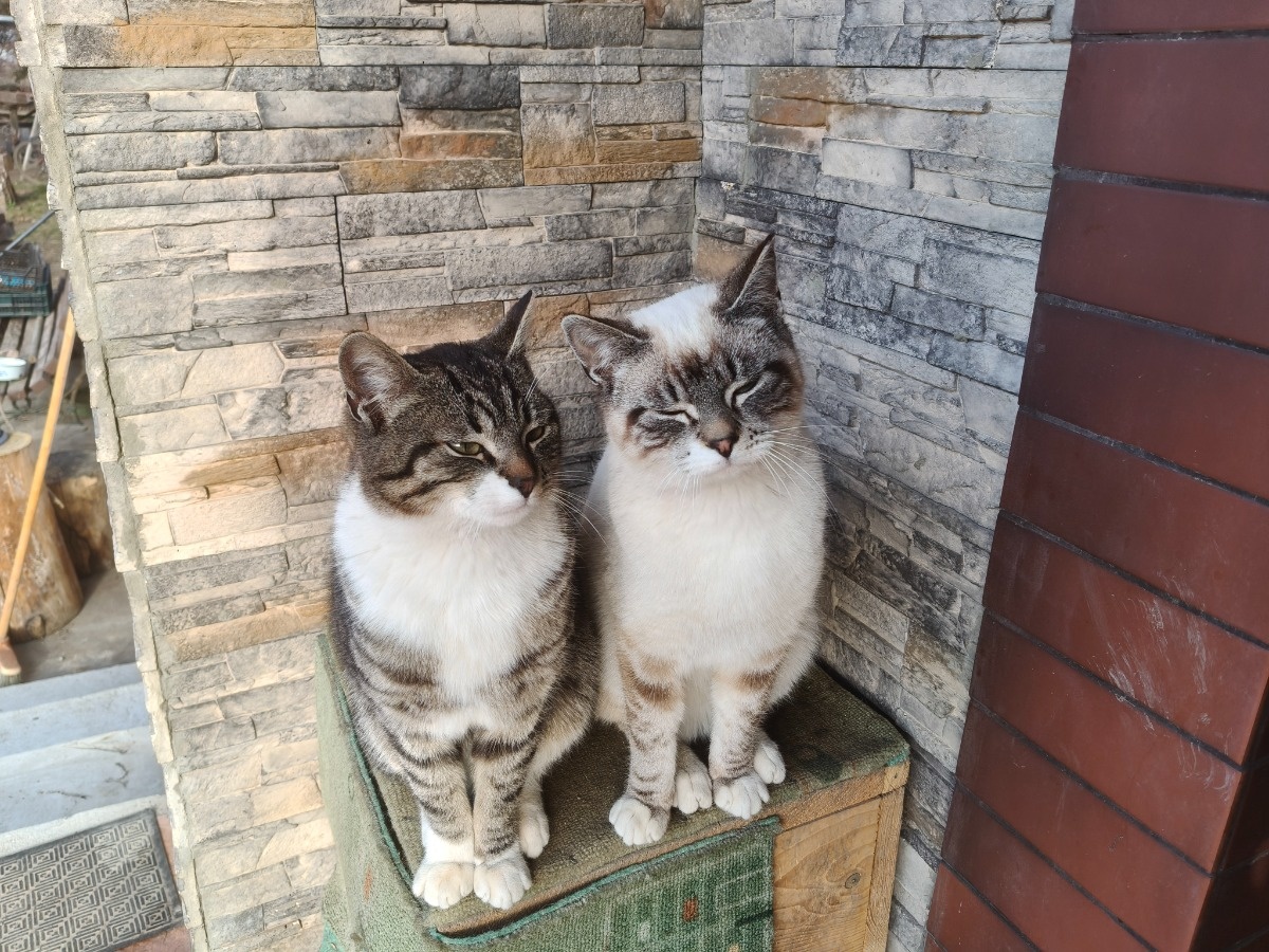 a2bd7743-5c76-4e75-bcd9-d1f136f200f0