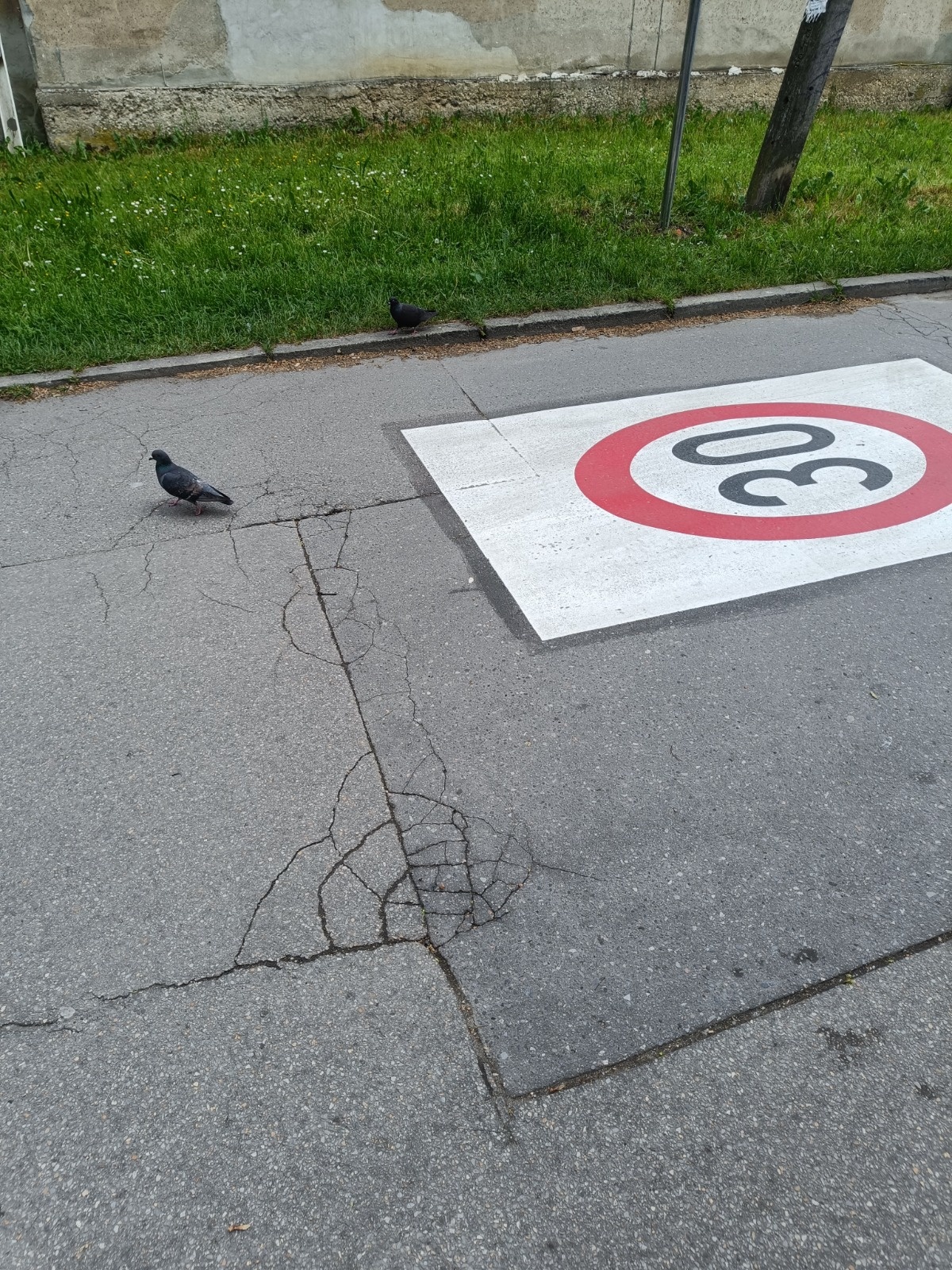 59760023-3a6d-4ea9-9484-7cead5e357c4