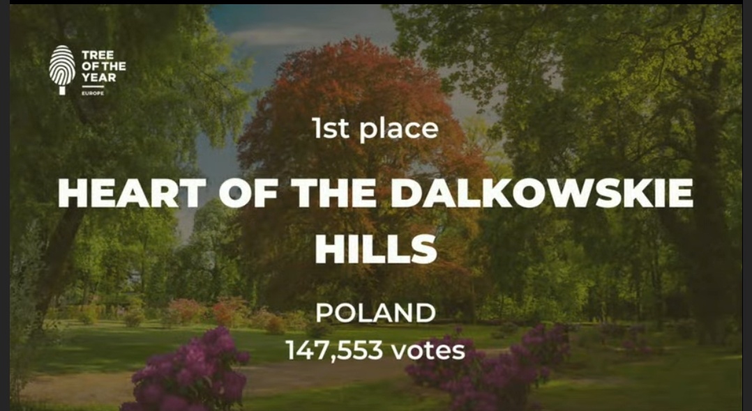 7012e649-1d58-475a-a3be-ba5e77e084d8