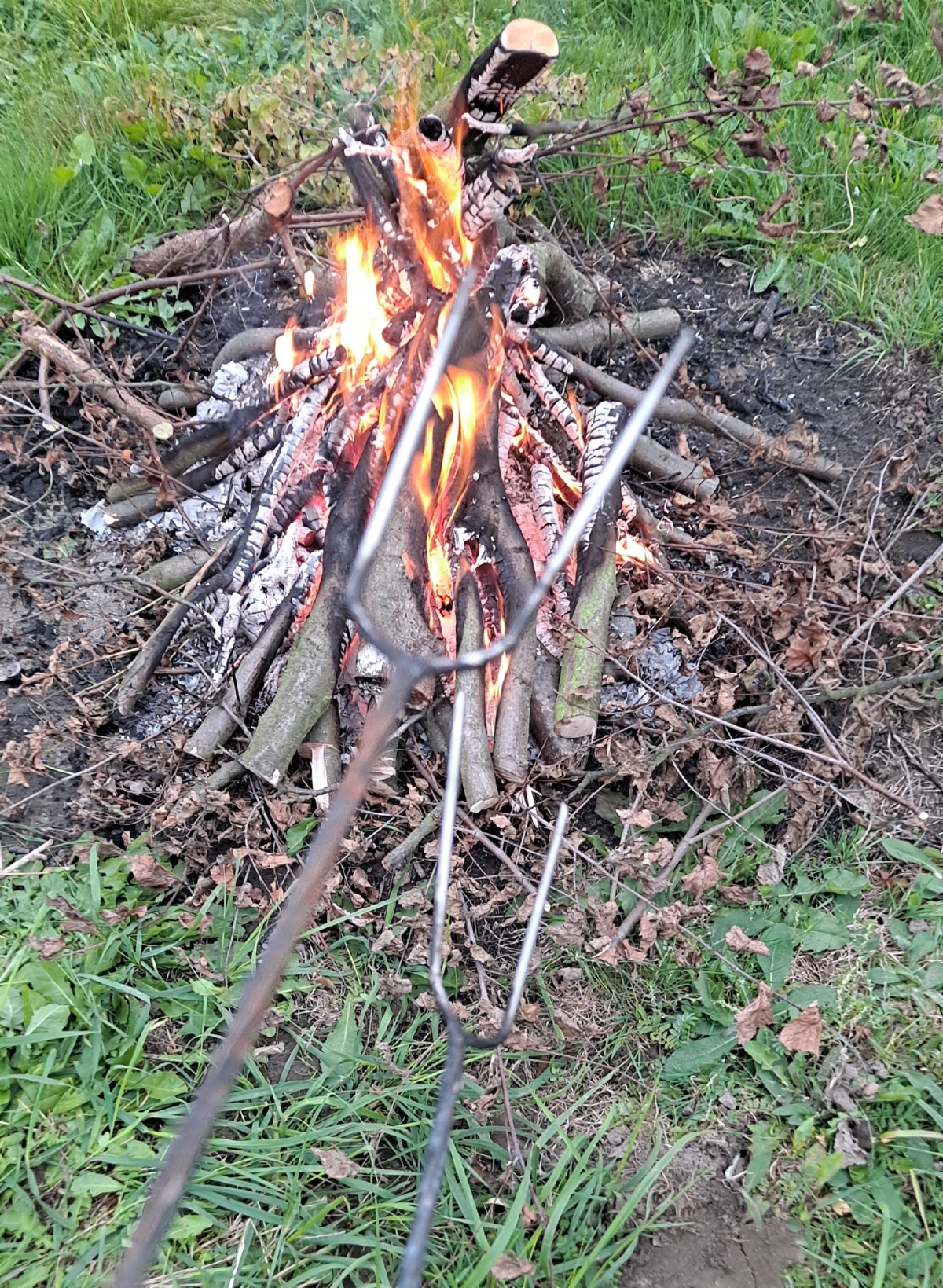 329beb5b-39a7-44ba-9c9e-afbf4d534d65