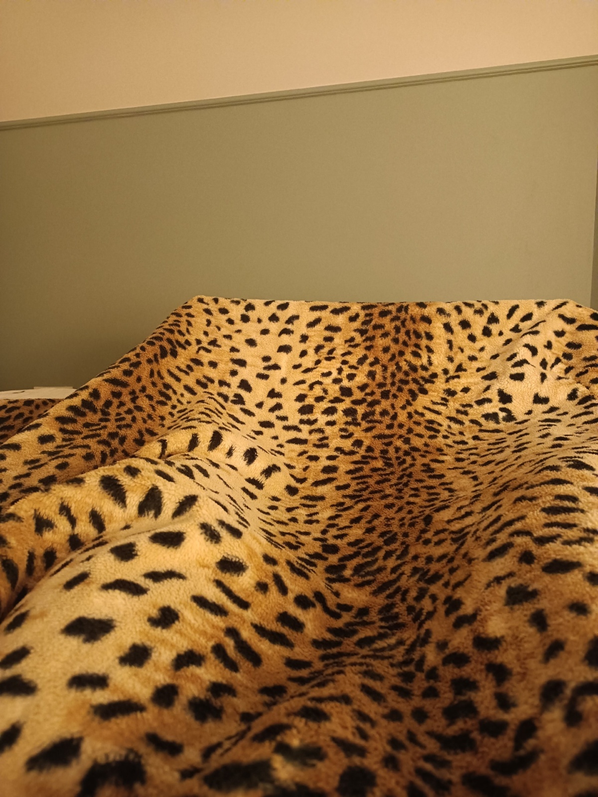 1b9d0437-002a-41ba-b77b-b61af3b2ec09