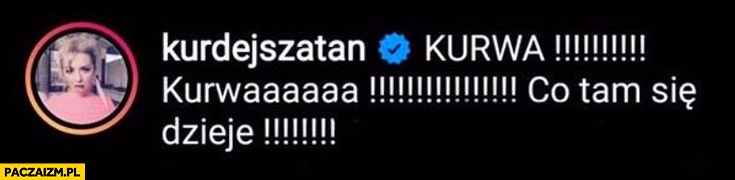 1f968268-76f5-4ec3-8fe6-19f377542e81