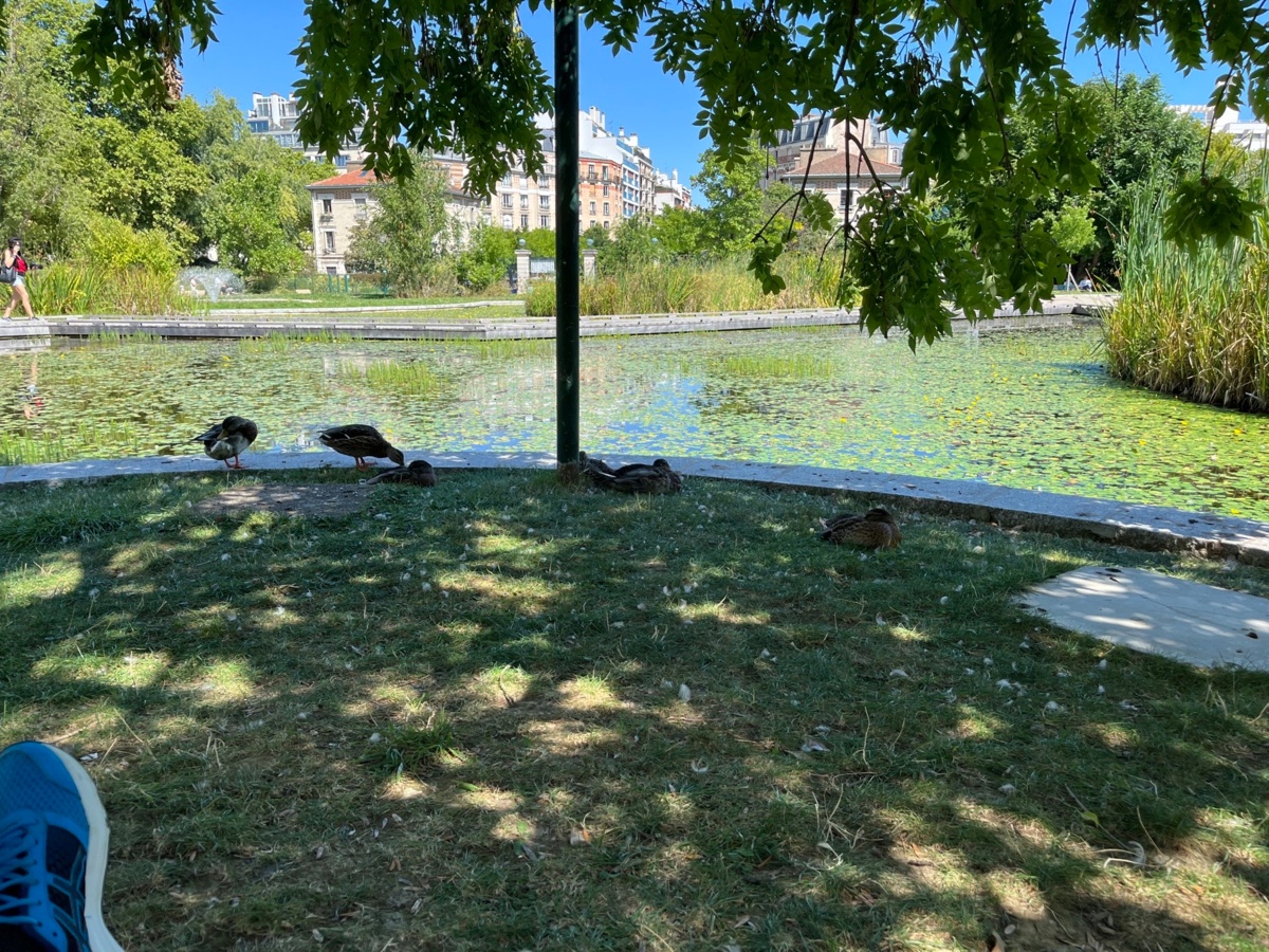 b2c5bd46-aba2-4bdc-a25b-f362045452df