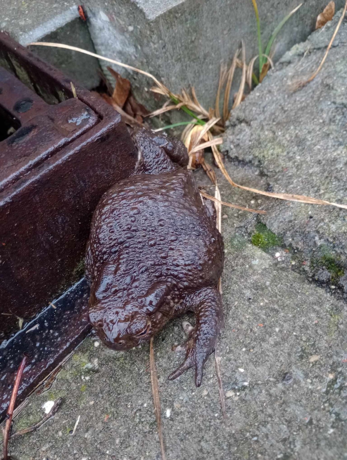 5973b1fe-1e05-42de-b95c-310db5764832