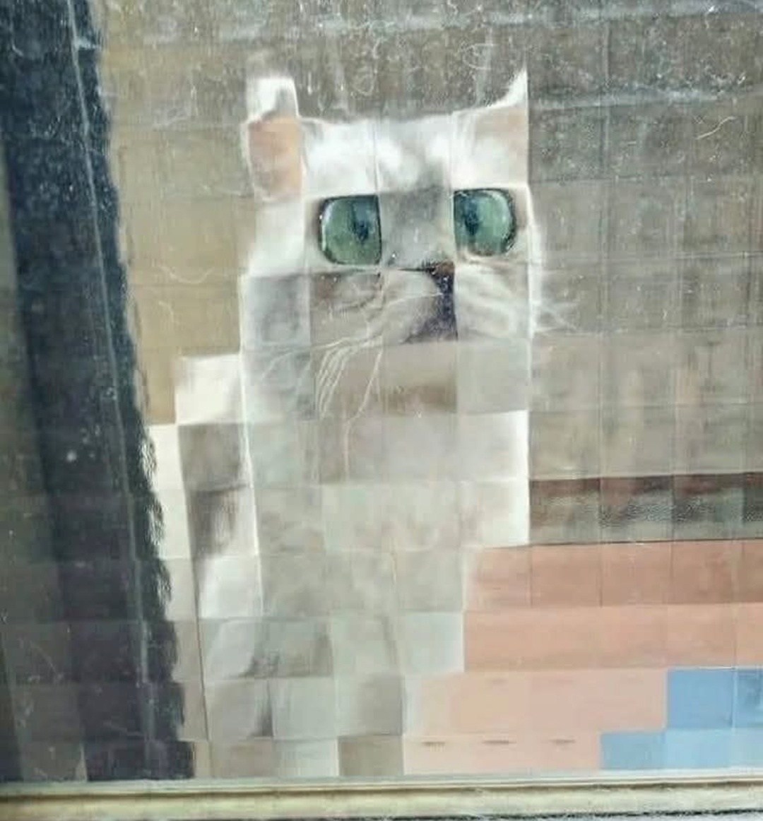 02f81d0c-afc1-4358-8c89-9dc045e5334c