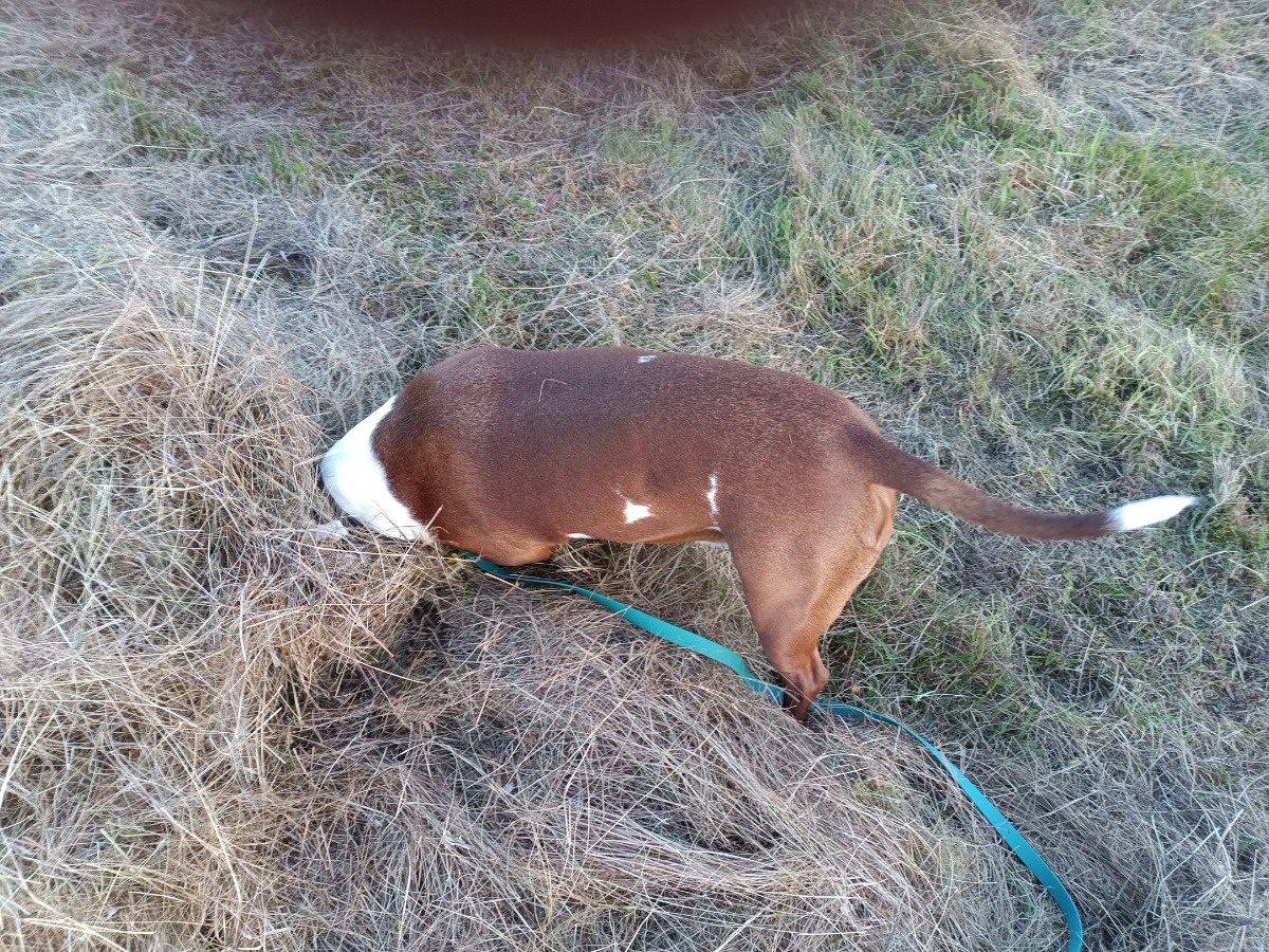 925c84d4-0b96-42db-bd5a-958b4a73f4f4