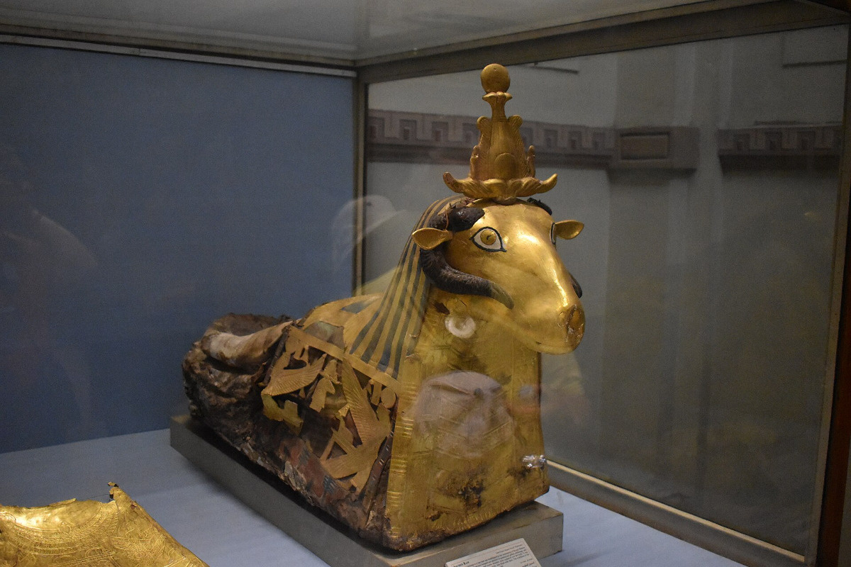 c3942901-088e-4a30-af63-fda0ede48d27