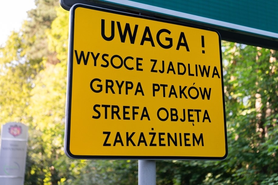 Ognisko wysoce zjadliwej grypy ptaków w Małopolsce