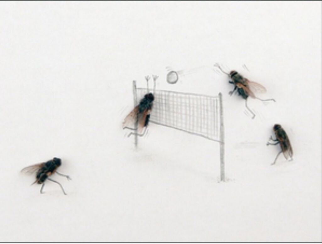 9c4966de-f552-4fde-ac9d-4c3c36e7bf90