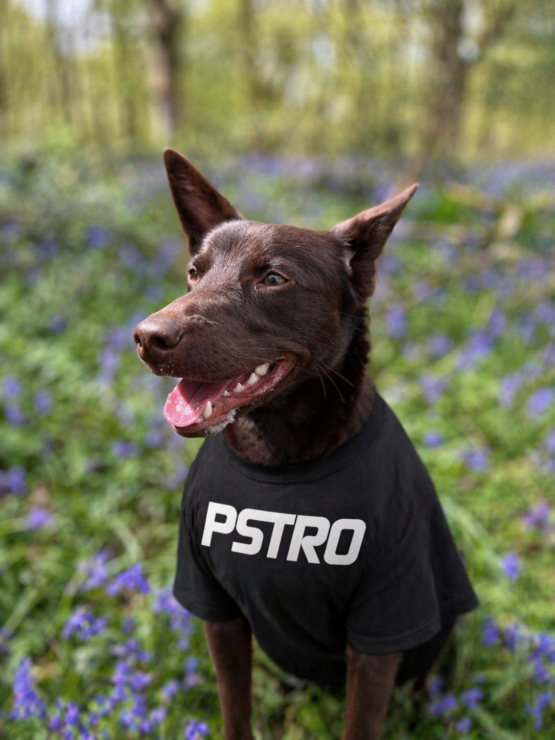 465d3325-faf8-45a7-a295-fd0ed5d7e82f