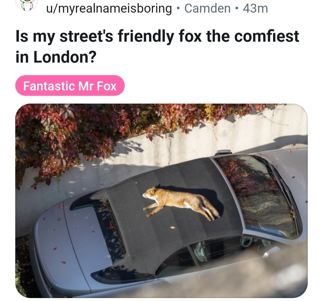 75285d70-7acb-4399-97bc-5db783788479