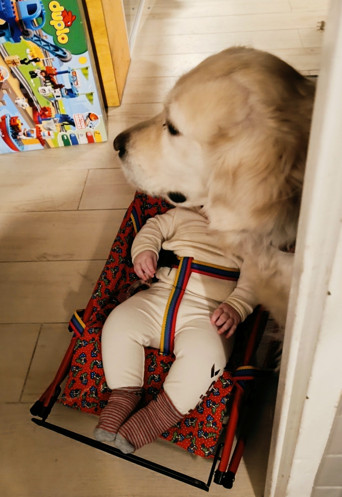 4e896c1e-471e-456c-8630-3f48ad57613d