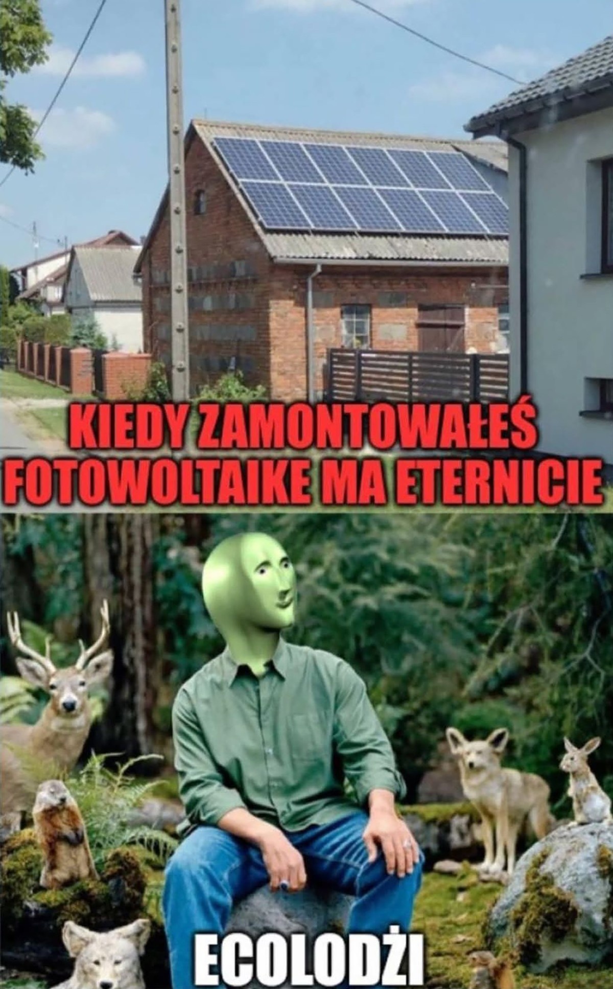 4091d13d-ea06-4f12-835c-8319e0340855