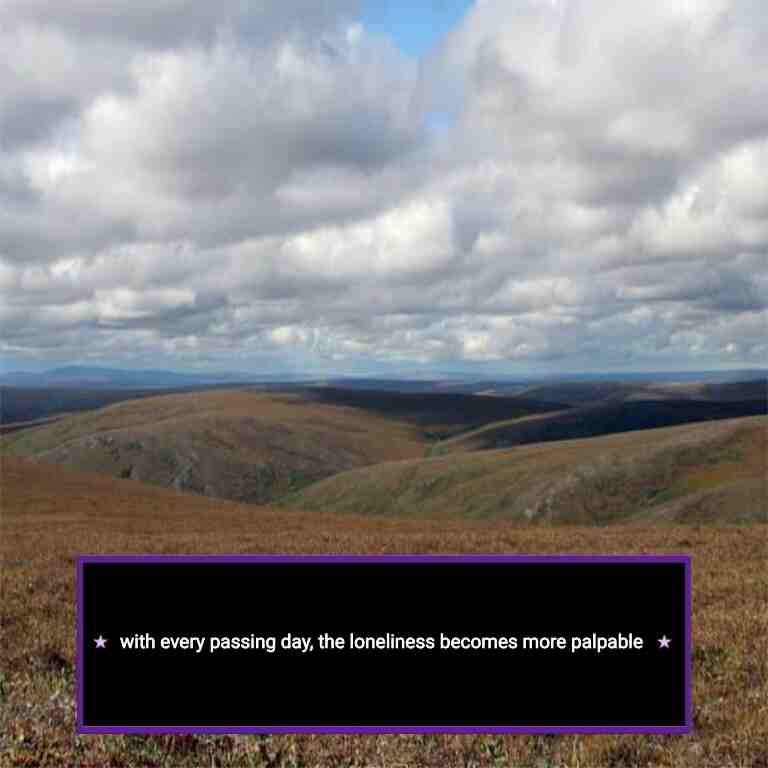 1cd434b8-cef7-4af6-ada1-b776bfd2f4db