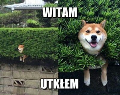 26e236d8-5150-4b7b-b8c5-0d8fda6a8cca