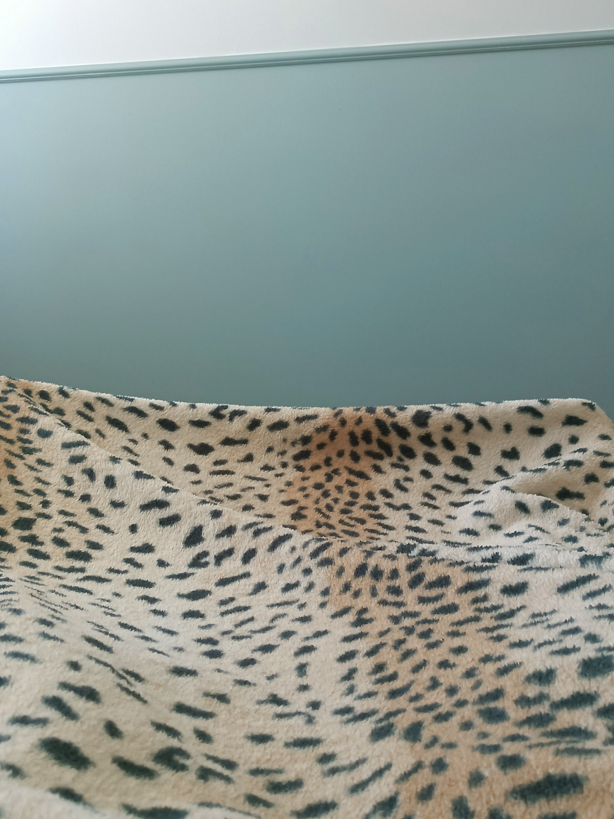 f18ae06f-3575-4746-a54c-f9d993f2b9ad