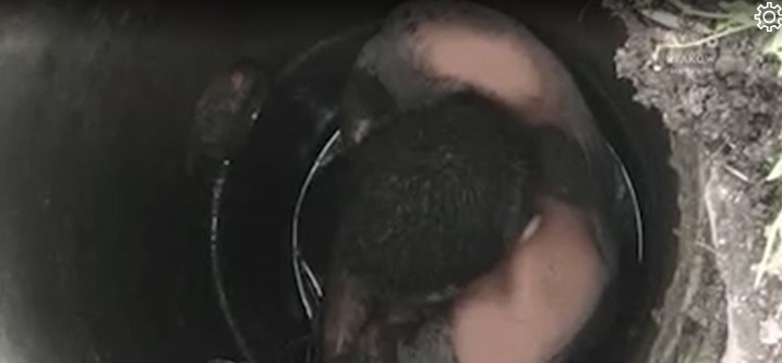 Pijany utknął w studzience kanalizacyjnej - Kraków