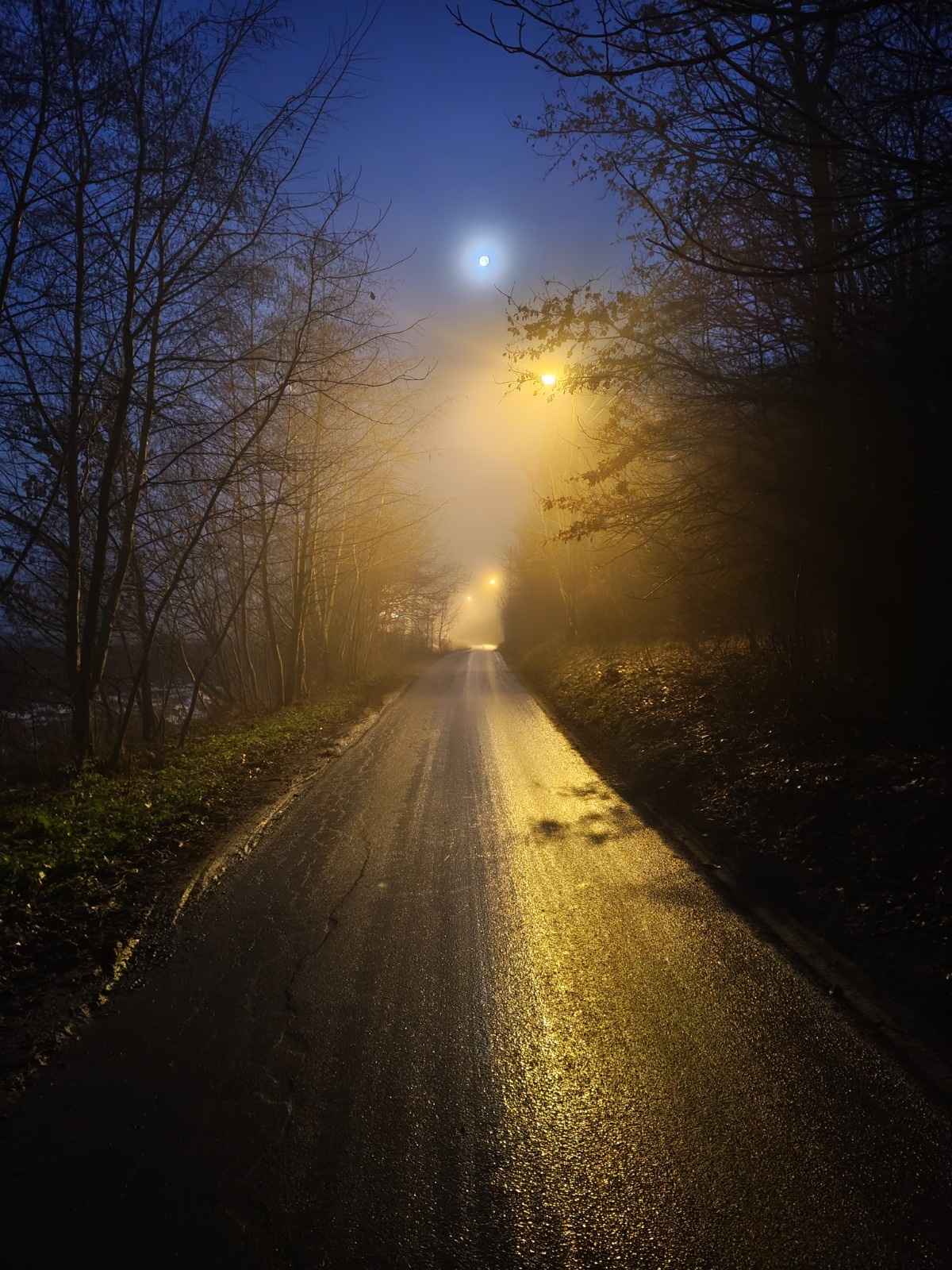 6f6d3dde-feee-4bfc-bfd1-076f4e7ef9ad