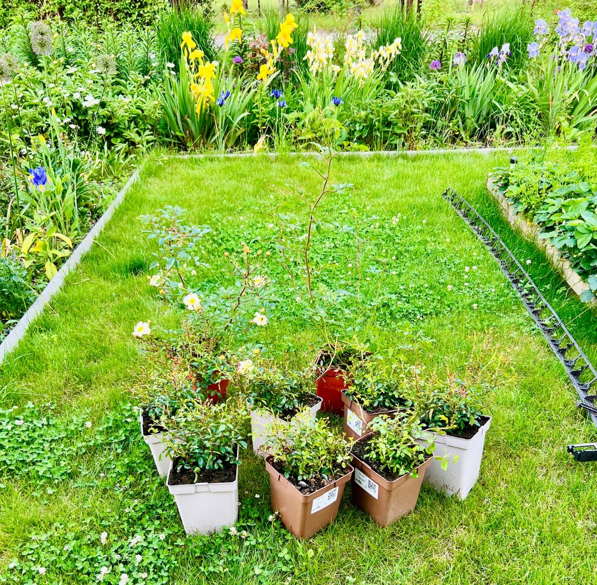 7f990790-3184-4e4a-a50c-d5aca6b9bbf9