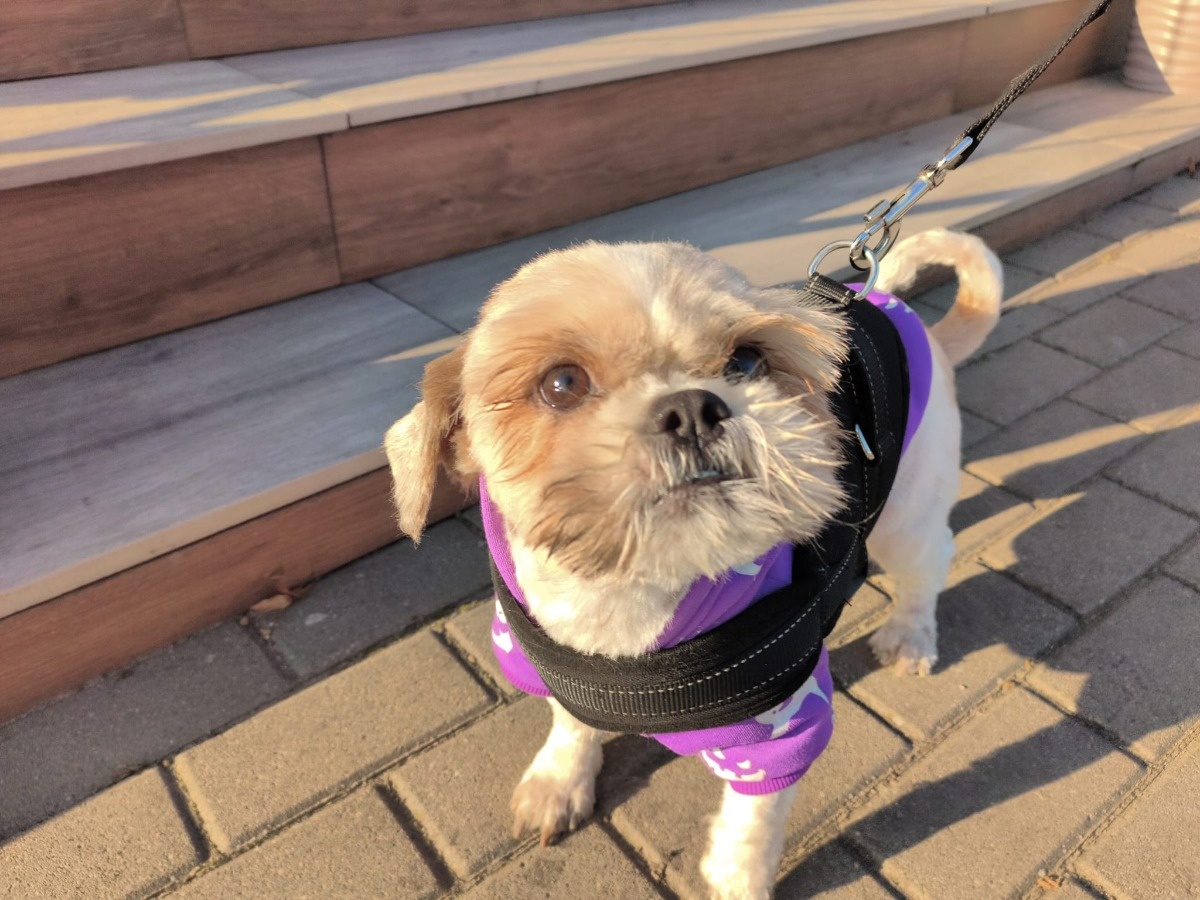 0a967b2e-1082-4ebf-8ae7-0ef764890d62