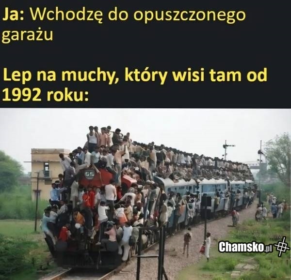 b0aaa112-e480-4dcd-93db-9afb94fbb535