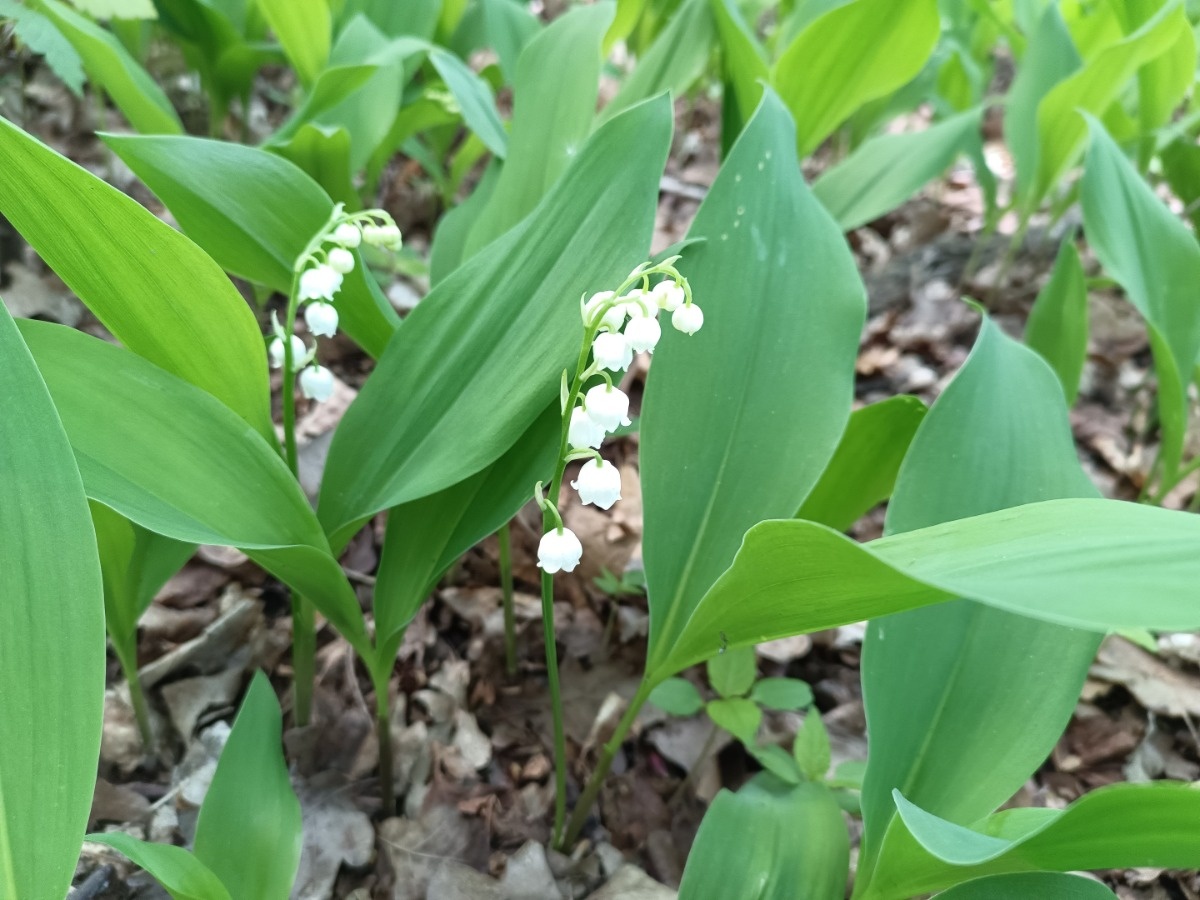 d83defe2-138d-470c-b91c-64e7b09d1171