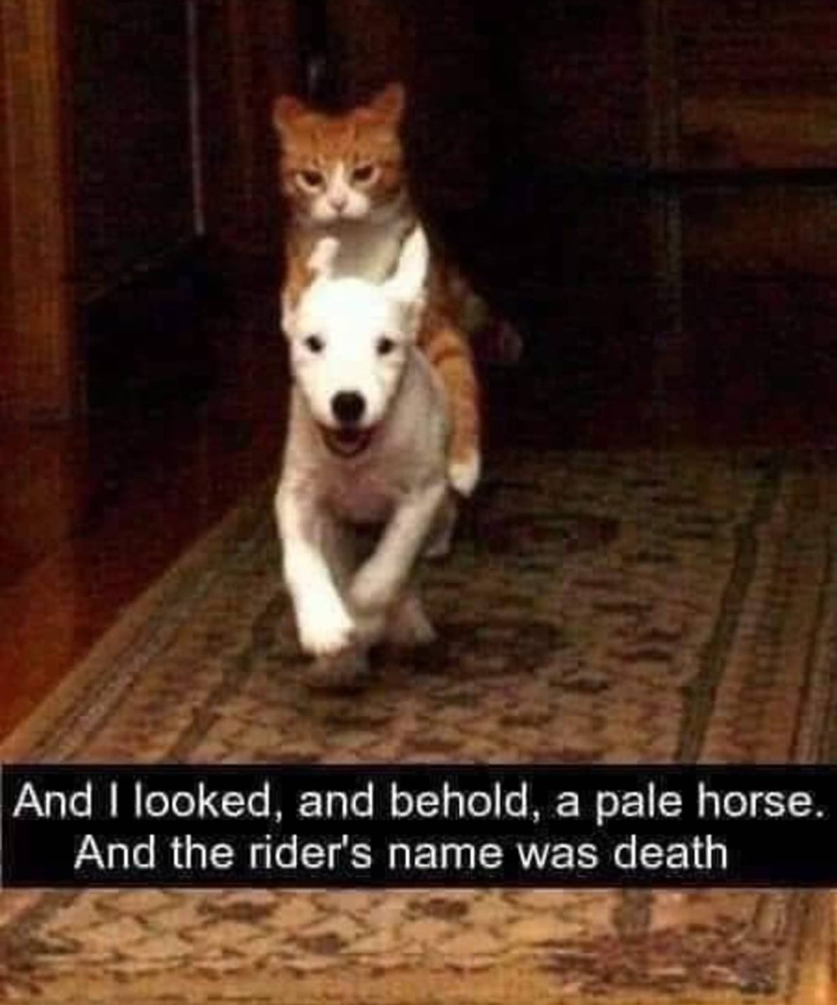 39013a61-d36f-41a1-8b95-9813b2afec8d