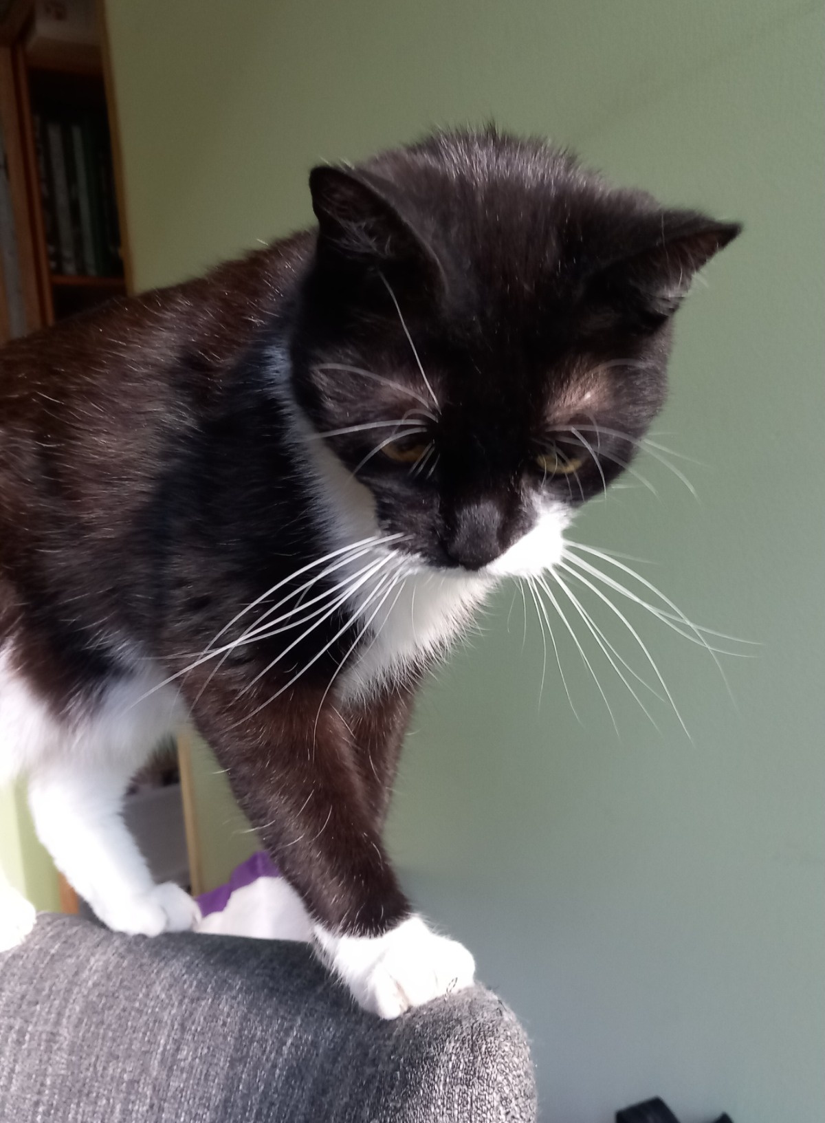 3a993db9-cebc-4032-812a-1a95a79bc9eb