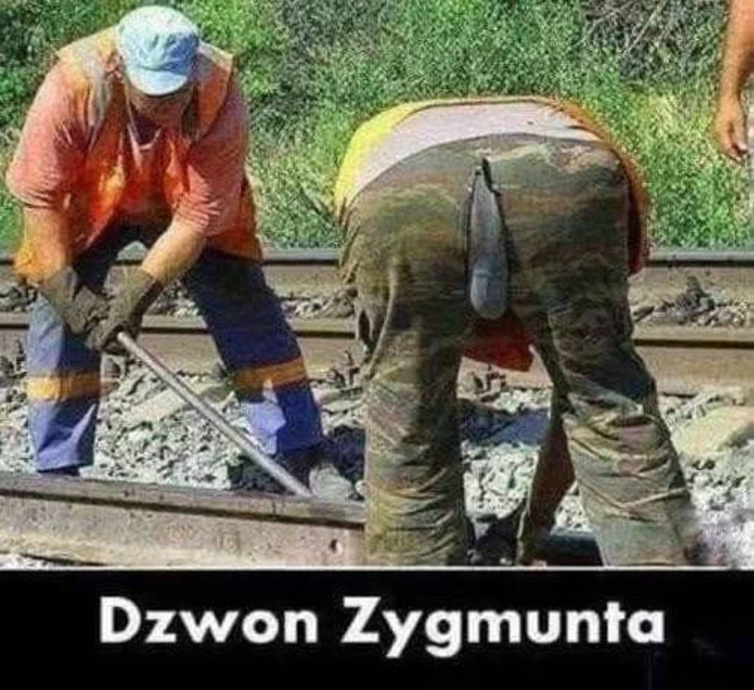 e56b7e91-2683-4382-aad9-6d4f509e3510