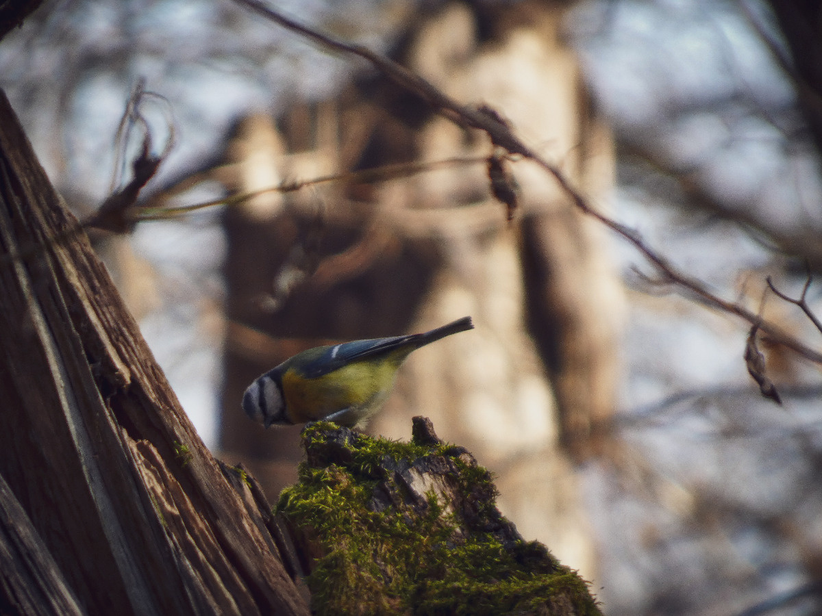 7e0d3c83-8f12-442c-afba-4871b7e4044a