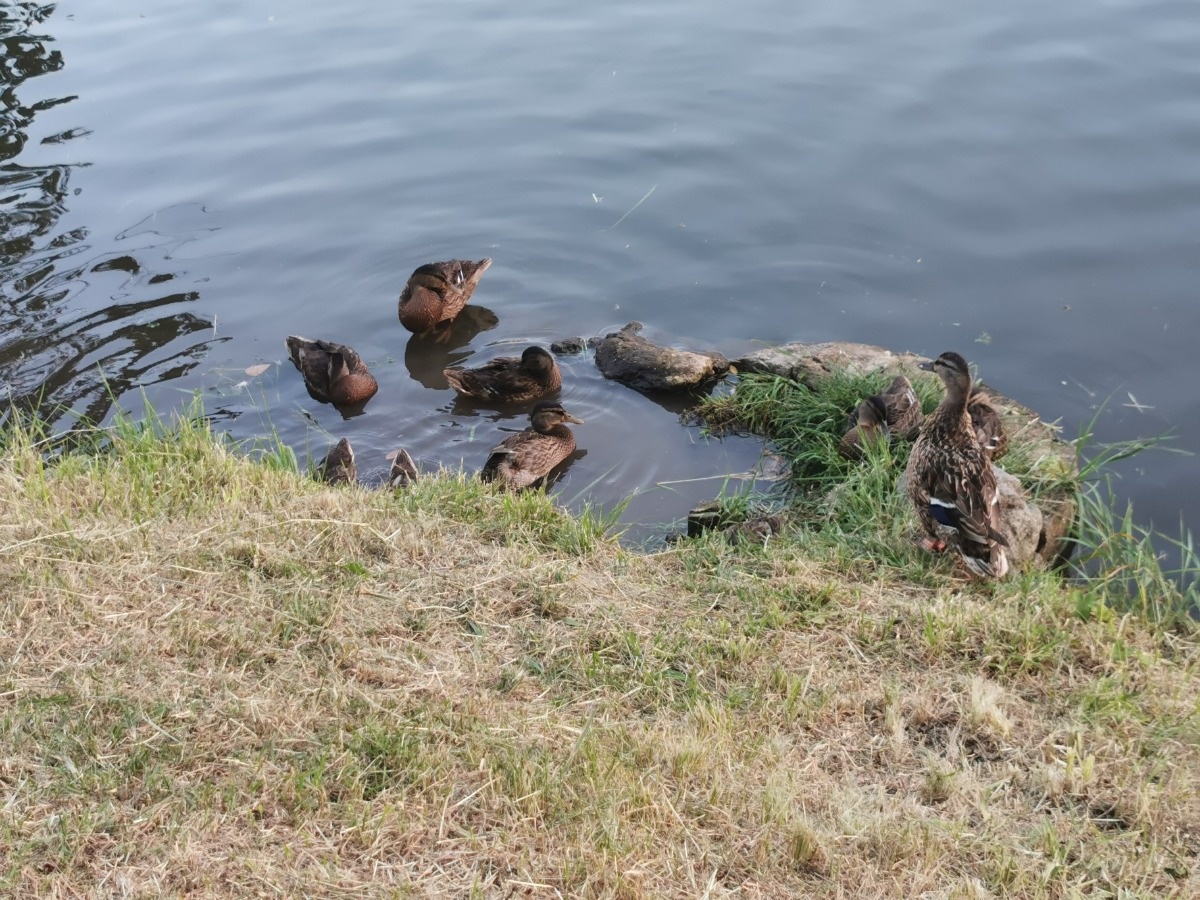 803b8b1e-a580-49d0-b19e-5bff6a99fe56