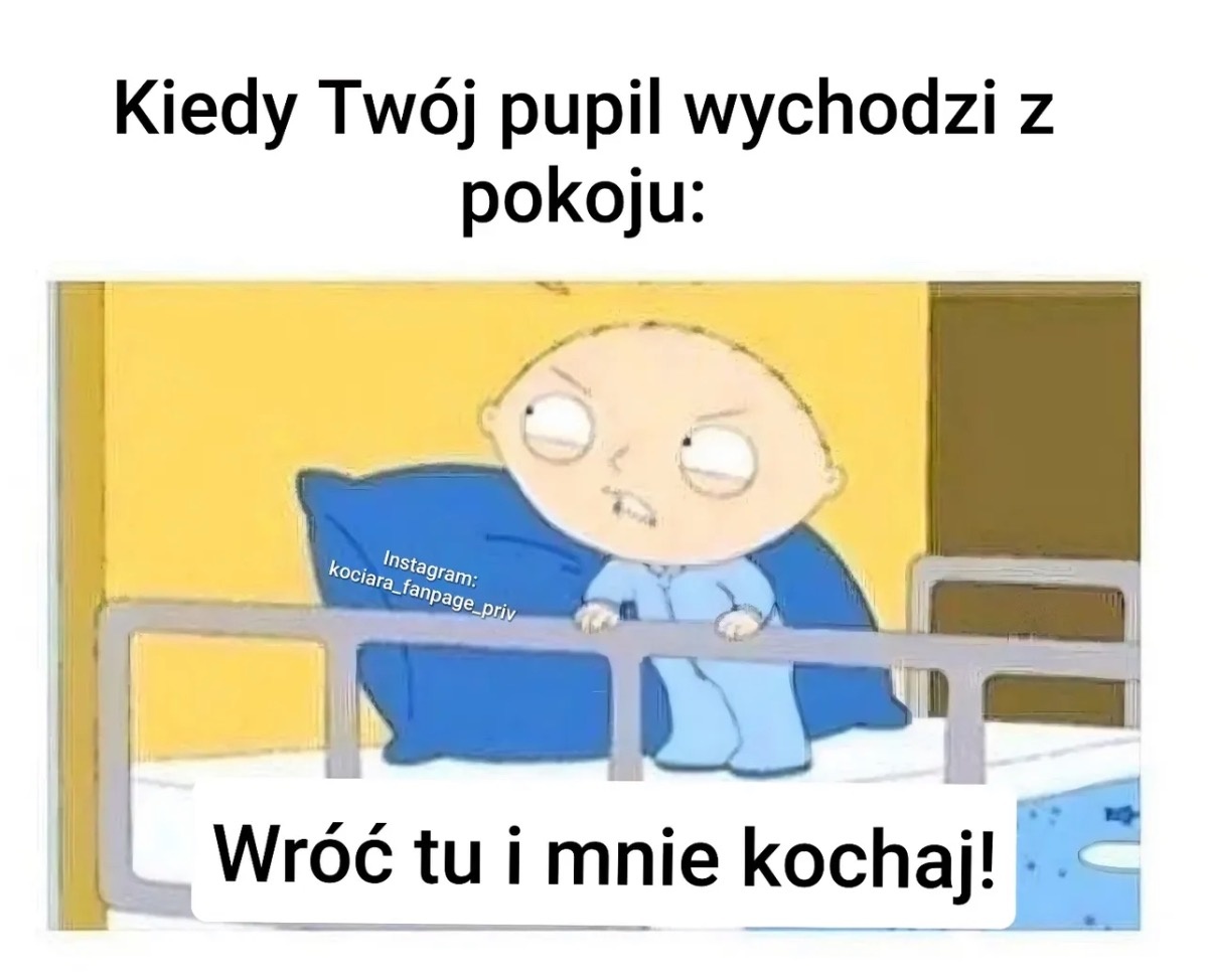 6848c5d0-c4e1-4c4d-8dd2-9c06986f9a12