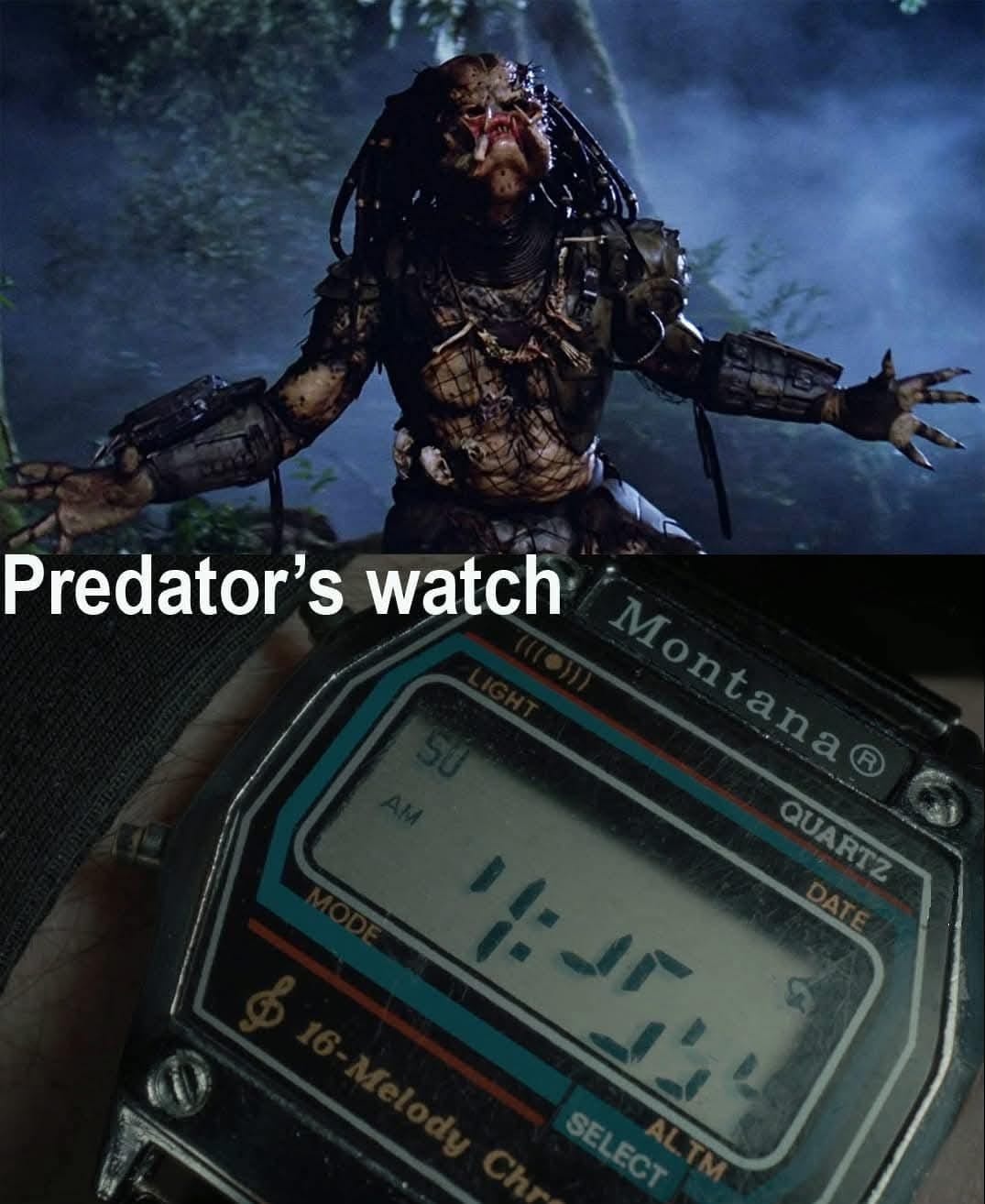 196fa6f7-a5e9-401f-a264-87afccbcb064