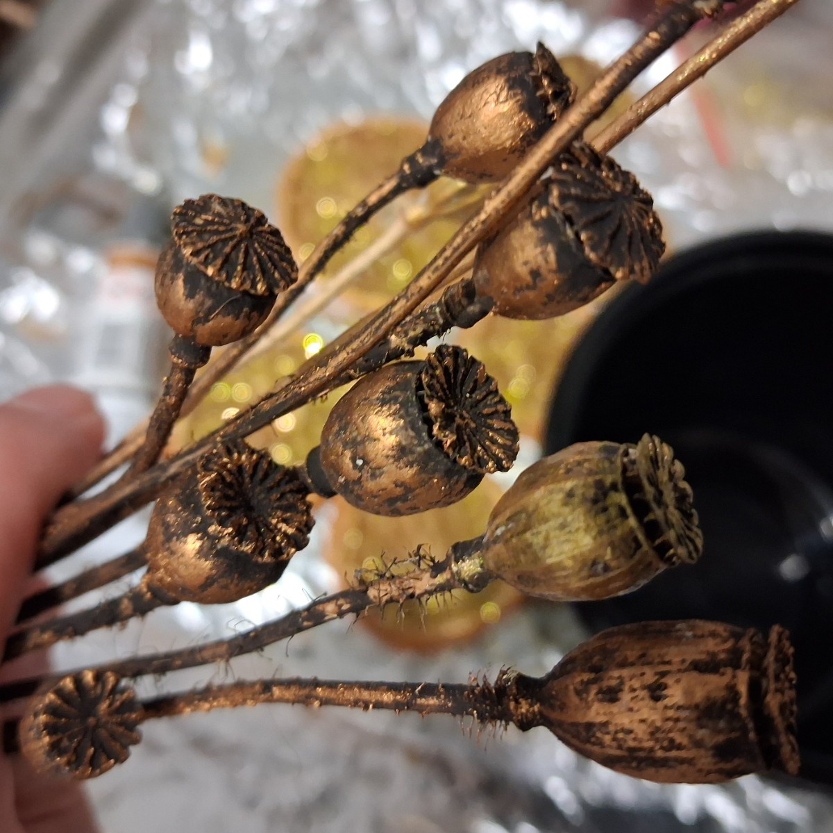 d00d642b-22a1-4a14-a910-e6e7e376012d