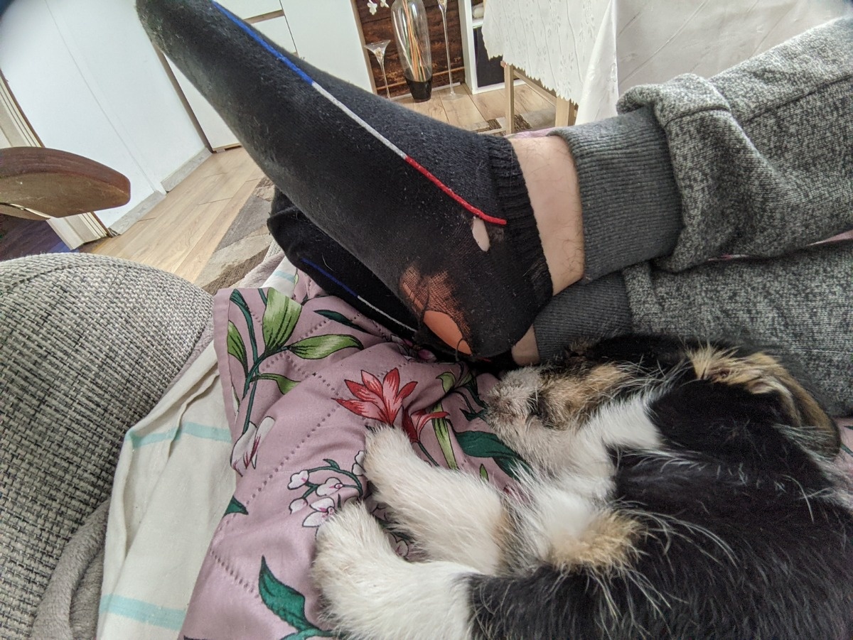 815e04ac-1410-4a76-b6f5-b1c8381260d7