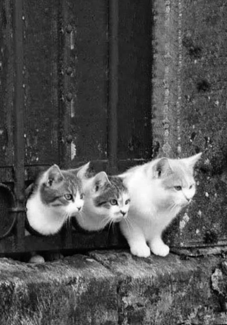 eeb01f73-2a7d-4dec-ad76-0767341cbed7