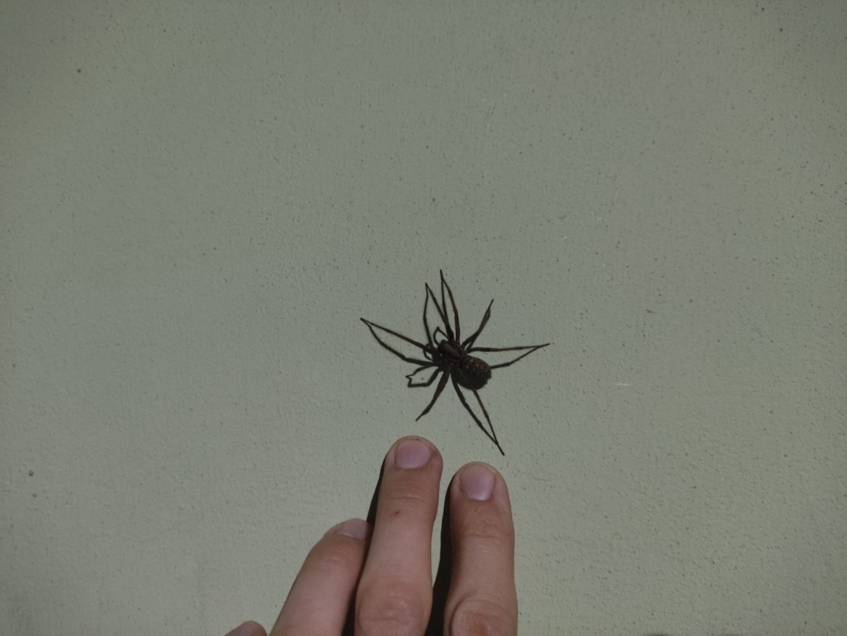 cc8f4ead-e53f-45e9-812c-b0ee066d8b51