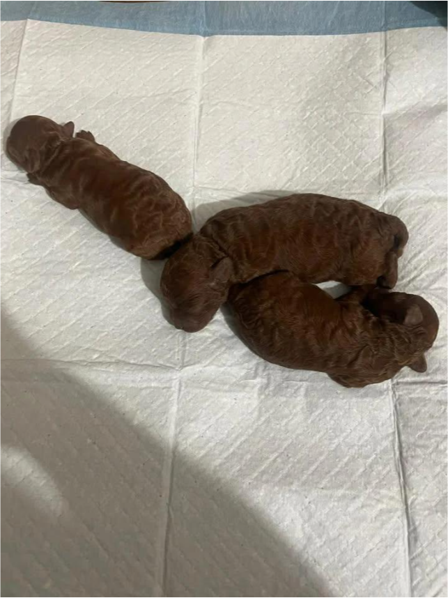 22ca671e-dbd2-4274-abc5-d5029a5f03bc