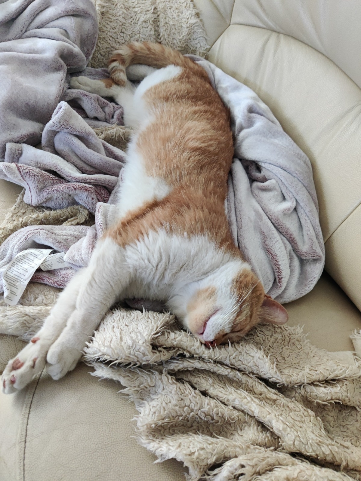 b3835b35-1aa5-4f50-b038-968eaf7bbcd6