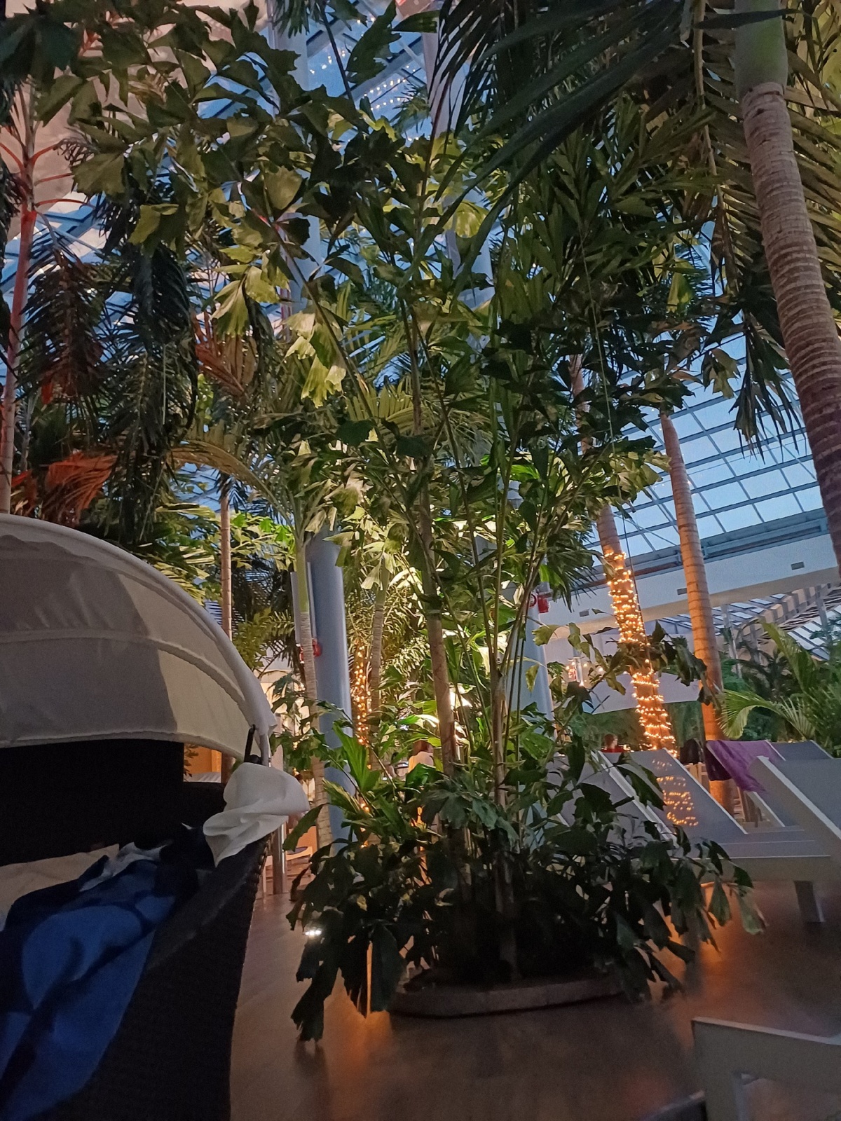 faae5861-f269-43b9-a50f-9b3ec2ff5638