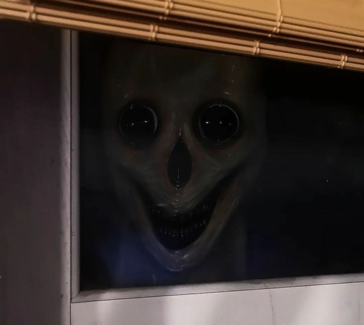 88f23853-9d0d-4903-baa8-19f3d8cd64b0